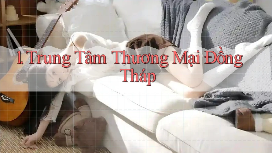 1. Trung Tâm Thương Mại Đồng Tháp 1. Trung Tâm Thương Mại Đồng Tháp