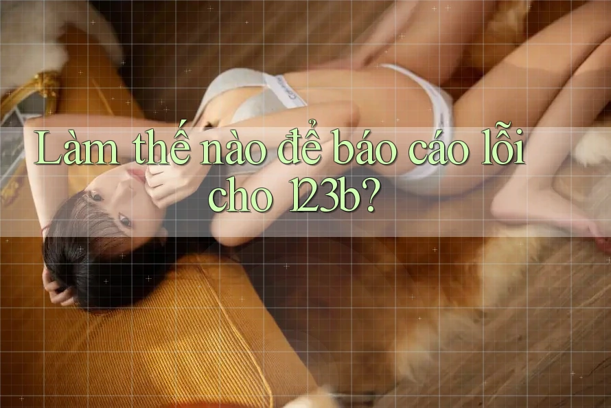 Làm thế nào để báo cáo lỗi cho 123b?