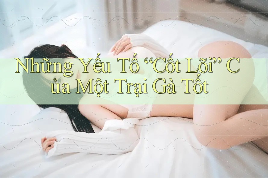 Những Yếu Tố “Cốt Lõi” Của Một Trại Gà Tốt