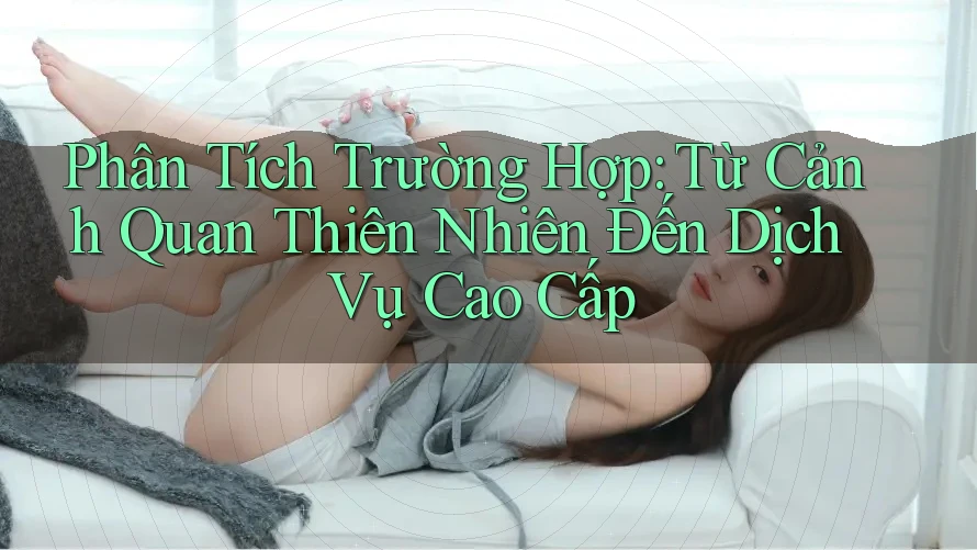 Phân Tích Trường Hợp: Từ Cảnh Quan Thiên Nhiên Đến Dịch Vụ Cao Cấp