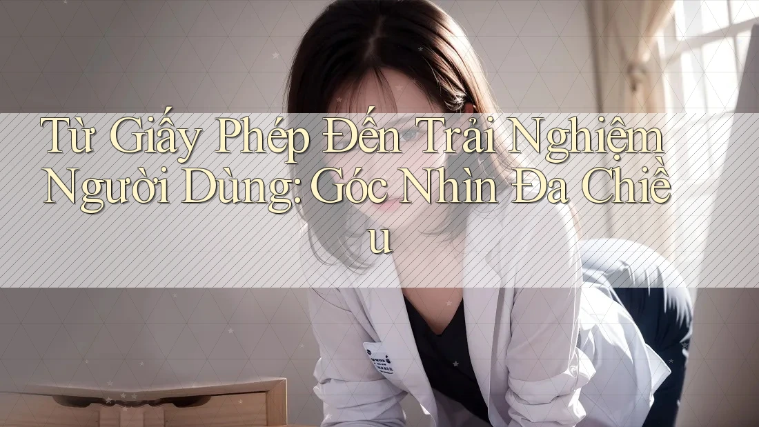 Từ Giấy Phép Đến Trải Nghiệm Người Dùng: Góc Nhìn Đa Chiều