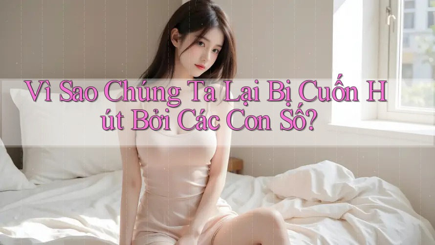 Vì Sao Chúng Ta Lại Bị Cuốn Hút Bởi Các Con Số?